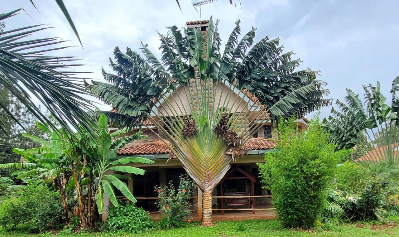 Edaala Comfort - B&B Nairobi Exterior foto