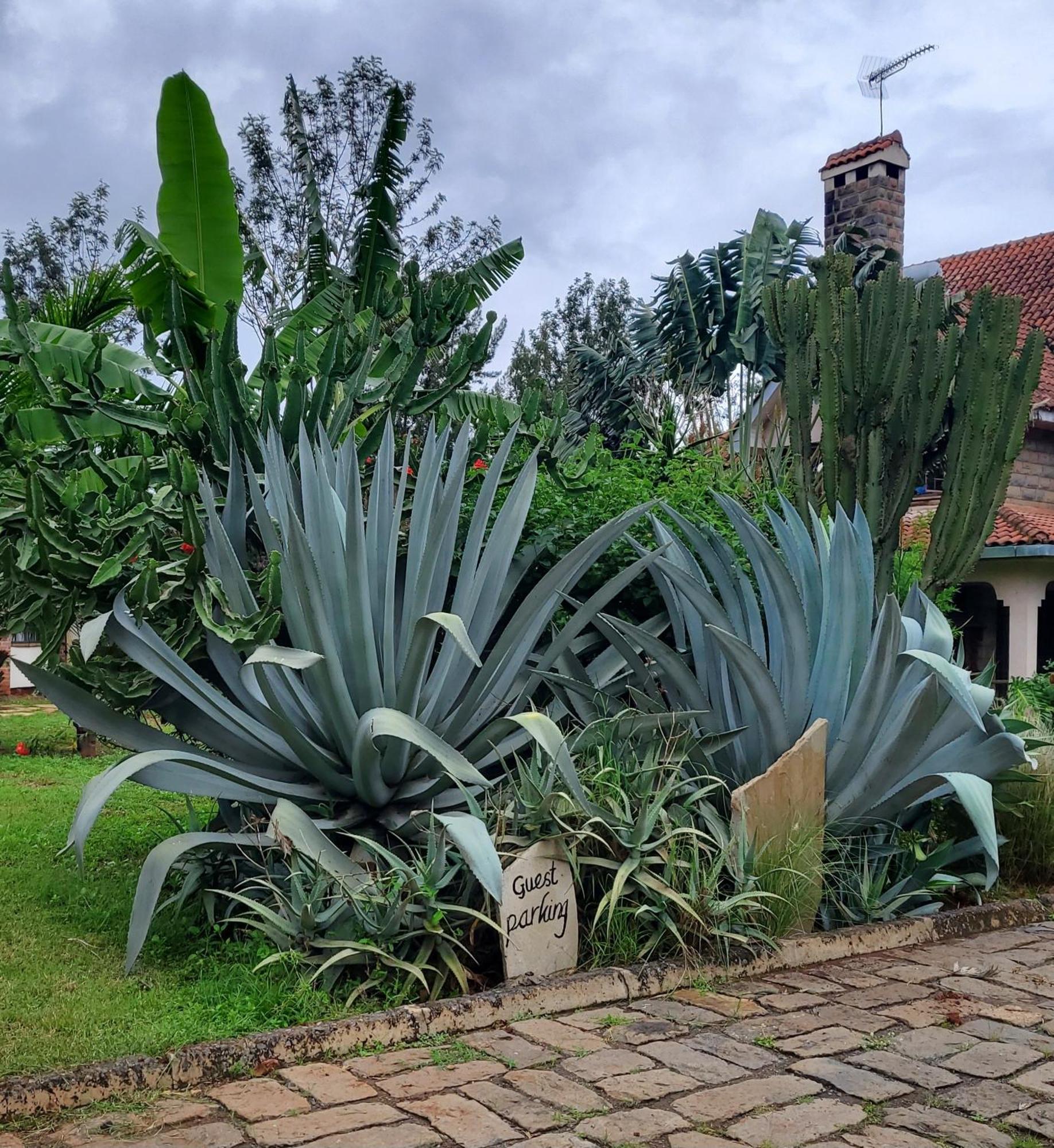 Edaala Comfort - B&B Nairobi Exterior foto