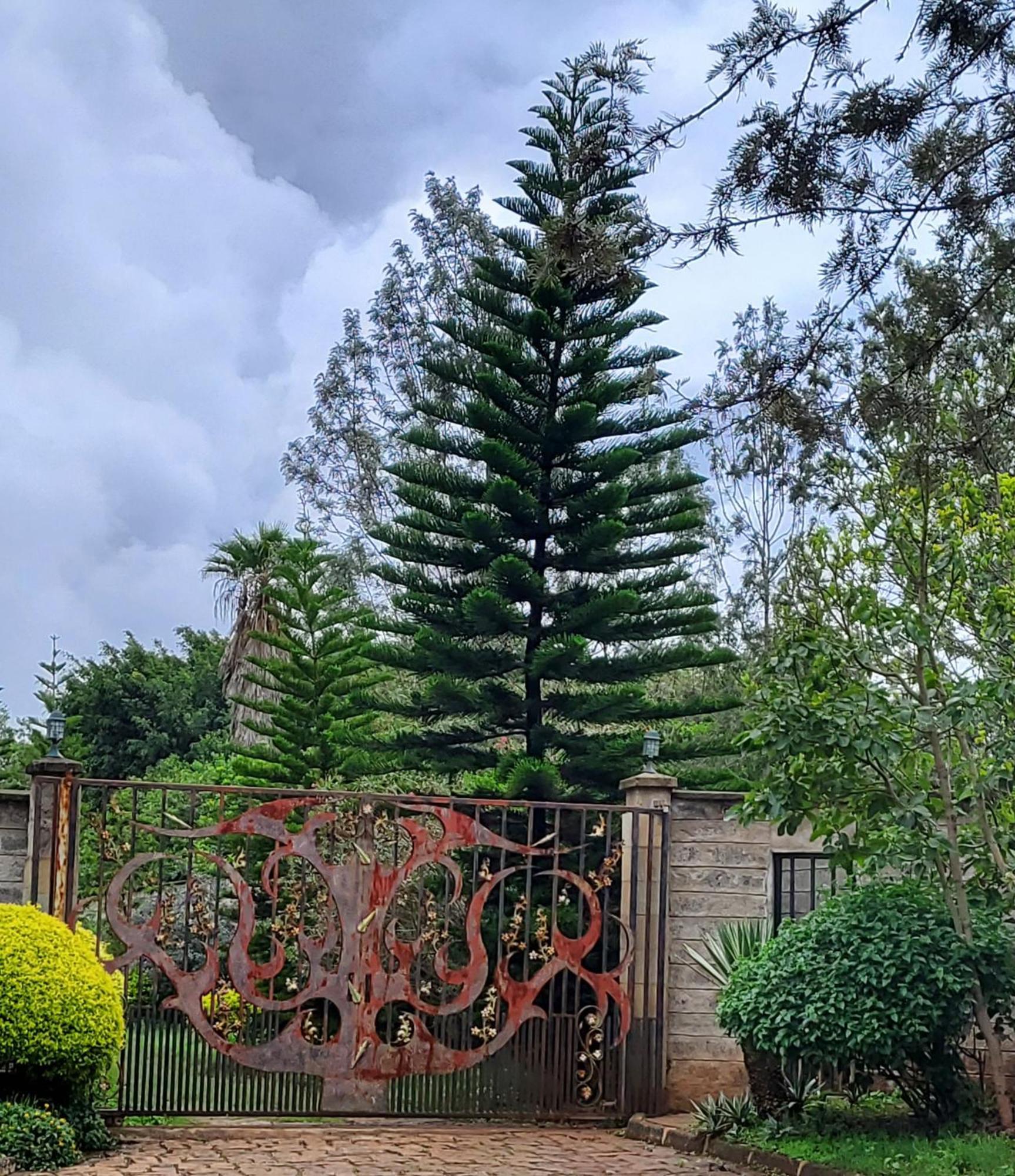 Edaala Comfort - B&B Nairobi Exterior foto