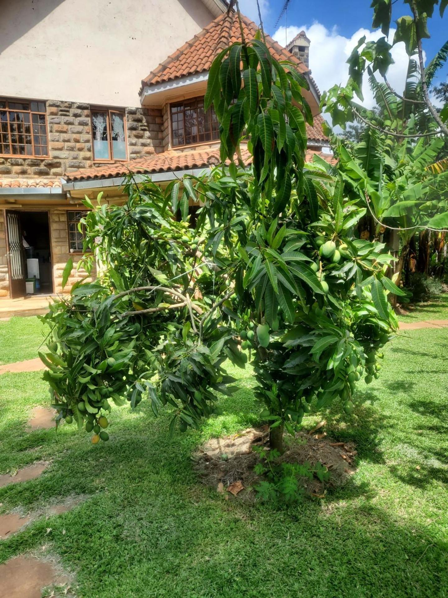 Edaala Comfort - B&B Nairobi Exterior foto