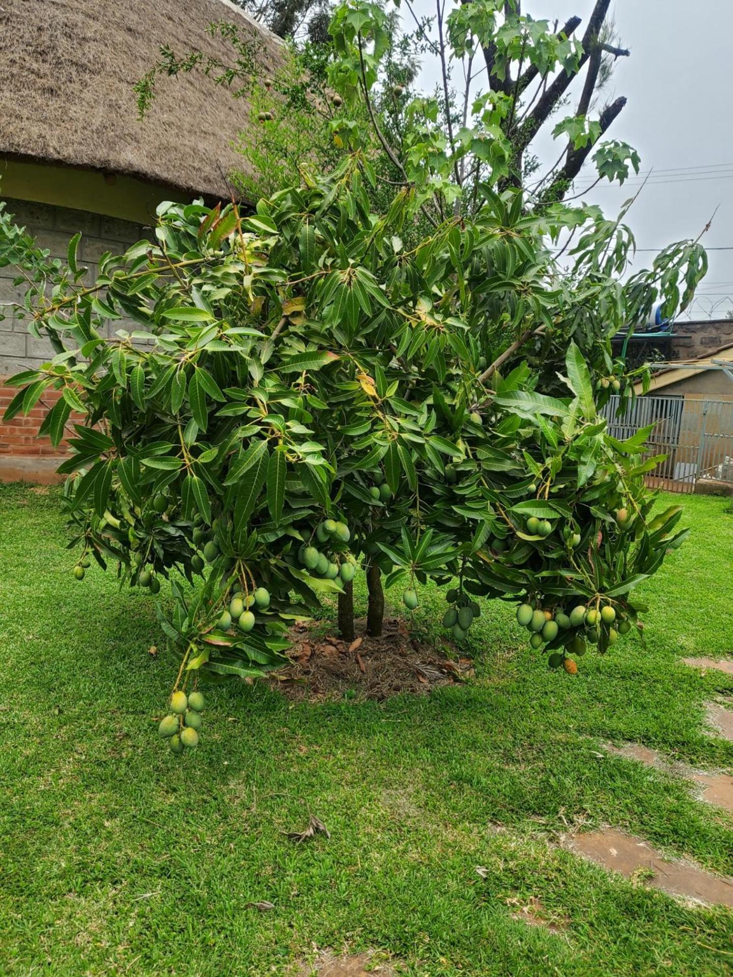 Edaala Comfort - B&B Nairobi Exterior foto